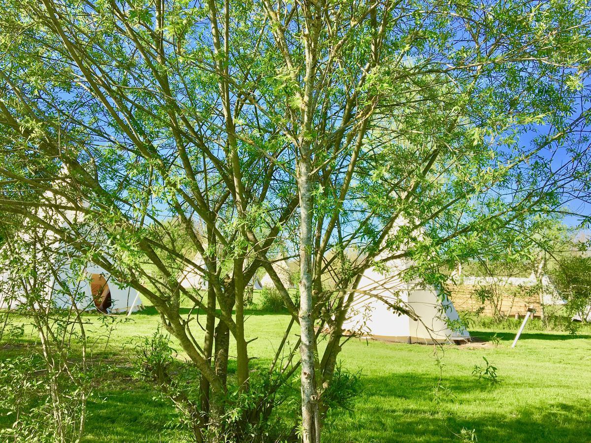 Les Tipis Du Bonheur De Vivre Ξενοδοχείο Brûlon Εξωτερικό φωτογραφία